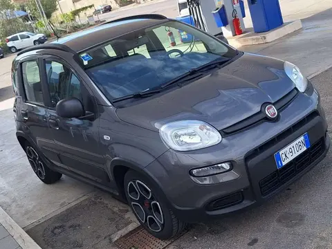 Used FIAT PANDA Hybrid 2022 Ad 