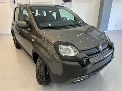 Used FIAT PANDA Hybrid 2023 Ad 