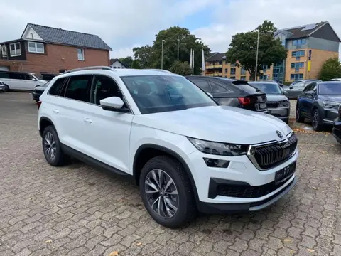 Used SKODA KODIAQ Diesel 2024 Ad 