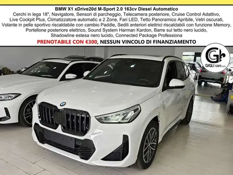 Used BMW X1 Hybrid 2023 Ad 