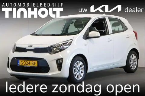 Used KIA PICANTO Petrol 2019 Ad 