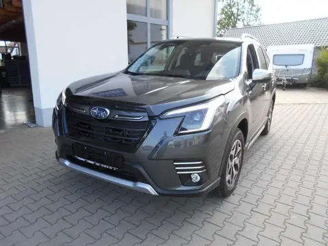 Annonce SUBARU FORESTER Hybride 2024 d'occasion 