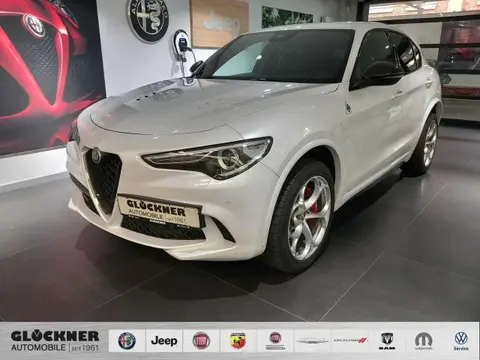 Annonce ALFA ROMEO STELVIO Essence 2021 d'occasion 