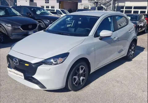 Used MAZDA 2 Hybrid 2023 Ad 