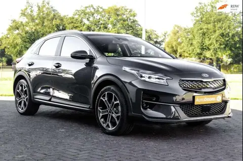 Annonce KIA XCEED Hybride 2021 d'occasion 