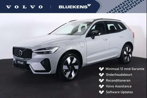 Annonce VOLVO XC60 Hybride 2024 d'occasion 