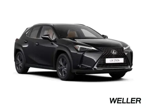 Annonce LEXUS UX Hybride 2022 d'occasion 