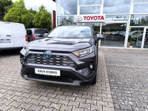 Used TOYOTA RAV4 Hybrid 2024 Ad Germany