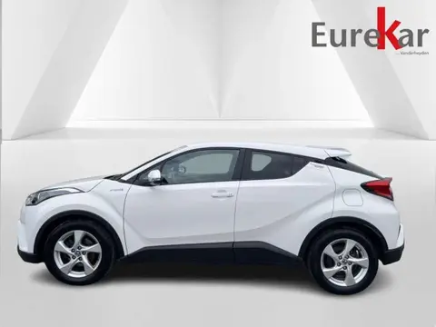 Used TOYOTA C-HR Hybrid 2018 Ad 