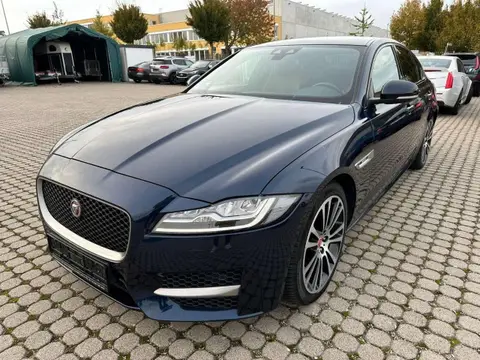 Used JAGUAR XF Diesel 2017 Ad 