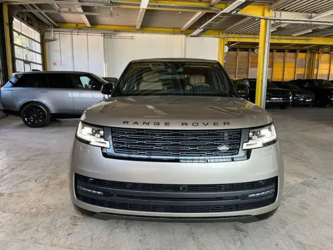 Used LAND ROVER RANGE ROVER Petrol 2024 Ad 