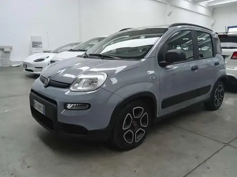 Used FIAT PANDA Hybrid 2022 Ad 