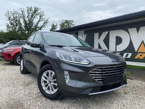 Used FORD KUGA Diesel 2020 Ad Belgium