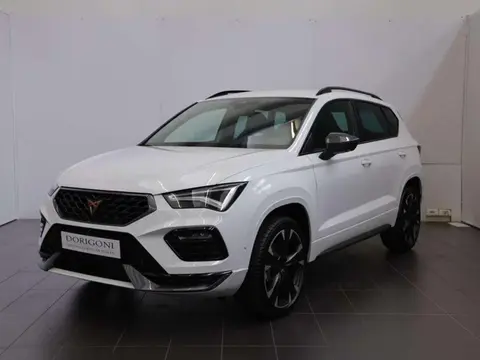 Annonce CUPRA ATECA Essence 2024 d'occasion 