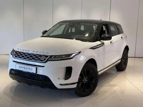 Used LAND ROVER RANGE ROVER EVOQUE Hybrid 2022 Ad 