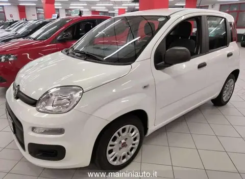 Used FIAT PANDA Hybrid 2021 Ad 