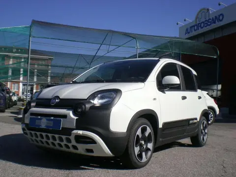 Annonce FIAT PANDA Hybride 2024 d'occasion 