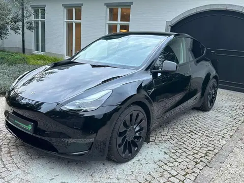 Used TESLA MODEL Y Electric 2022 Ad 