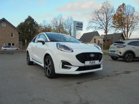 Used FORD PUMA Hybrid 2024 Ad 