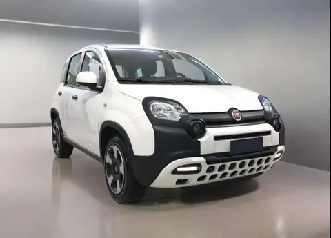 Used FIAT PANDA Hybrid 2023 Ad 