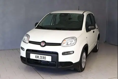 Used FIAT PANDA Hybrid 2024 Ad 