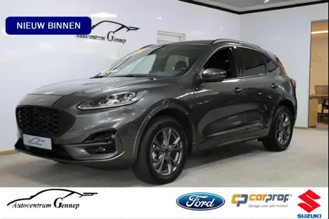 Used FORD KUGA Hybrid 2023 Ad 