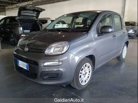 Annonce FIAT PANDA Hybride 2022 d'occasion 