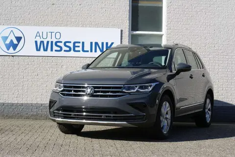 Used VOLKSWAGEN TIGUAN Hybrid 2024 Ad 