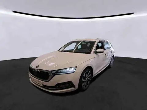 Used SKODA OCTAVIA Diesel 2021 Ad 