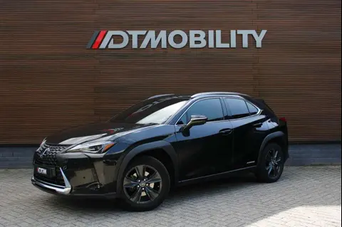 Used LEXUS UX Hybrid 2020 Ad 