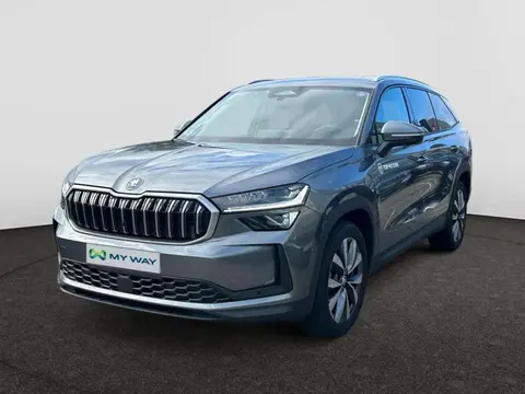 Used SKODA KODIAQ Petrol 2024 Ad 