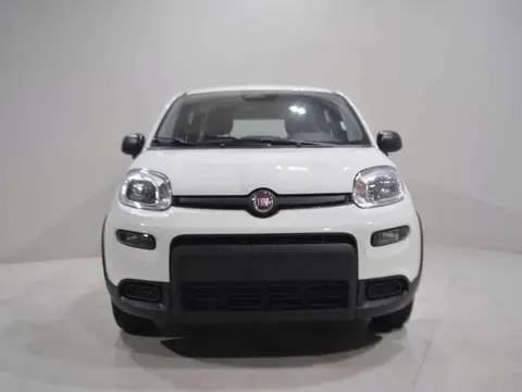 Annonce FIAT PANDA Hybride 2024 d'occasion 