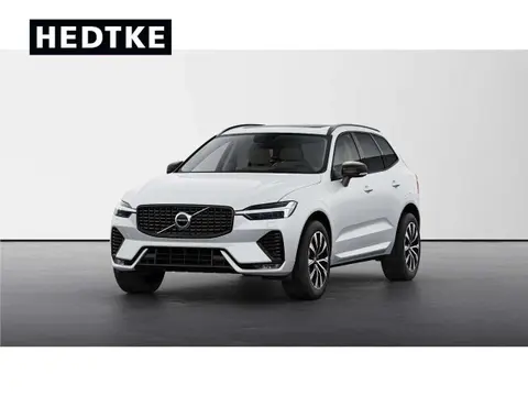 Annonce VOLVO XC60 Diesel 2024 d'occasion 