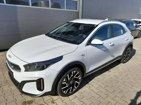 Annonce KIA XCEED Essence 2024 d'occasion 