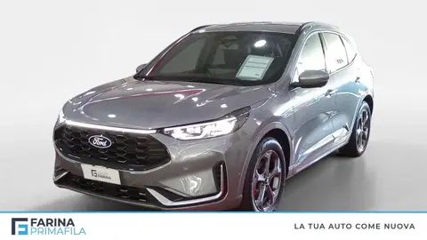 Annonce FORD KUGA Hybride 2024 d'occasion 