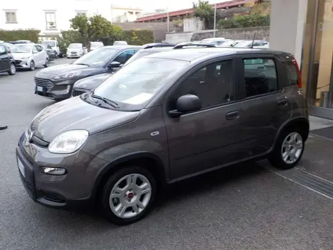 Annonce FIAT PANDA Hybride 2024 d'occasion 