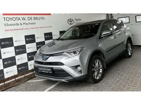 Used TOYOTA RAV4 Hybrid 2018 Ad 