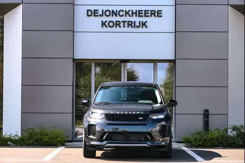 Used LAND ROVER DISCOVERY Hybrid 2024 Ad Belgium