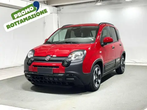 Used FIAT PANDA Hybrid 2024 Ad Italy