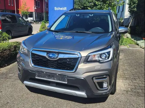 Used SUBARU FORESTER Hybrid 2020 Ad 