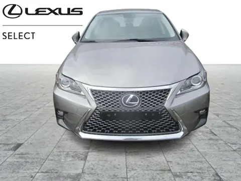 Used LEXUS CT Hybrid 2019 Ad Belgium