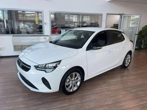 Used OPEL CORSA Petrol 2024 Ad 