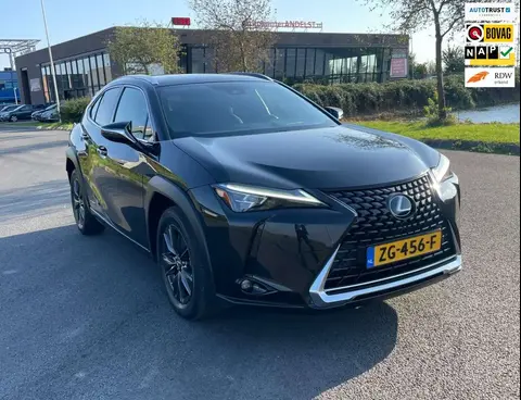 Used LEXUS UX Hybrid 2019 Ad 