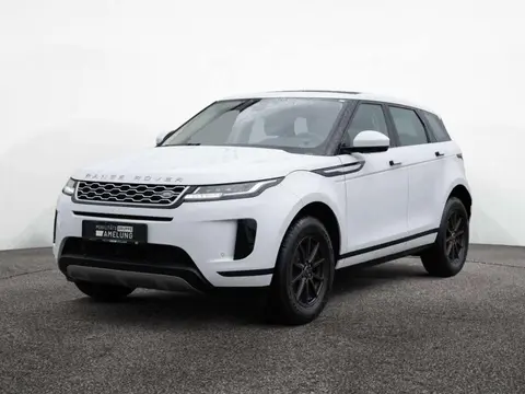 Used LAND ROVER RANGE ROVER EVOQUE Diesel 2019 Ad 