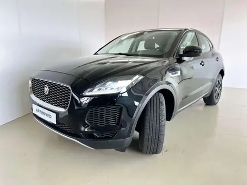 Used JAGUAR E-PACE Diesel 2020 Ad 