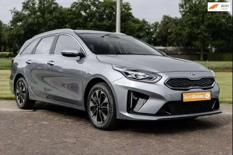 Annonce KIA CEED Hybride 2021 d'occasion 