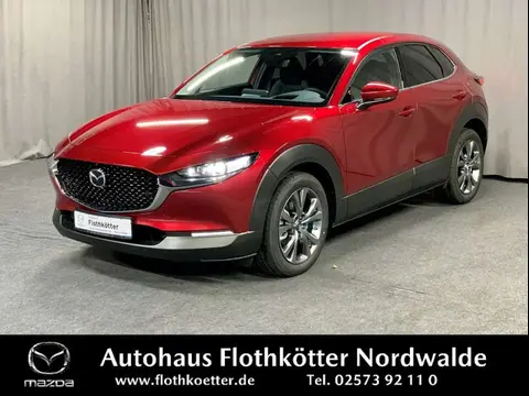 Used MAZDA CX-30 Hybrid 2020 Ad 