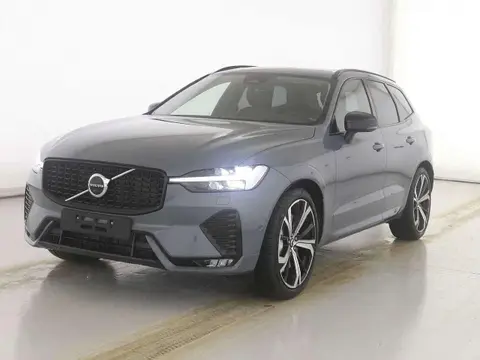 Used VOLVO XC60 Petrol 2024 Ad 