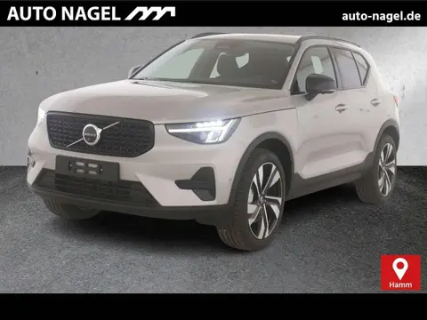 Annonce VOLVO XC40 Essence 2024 d'occasion 