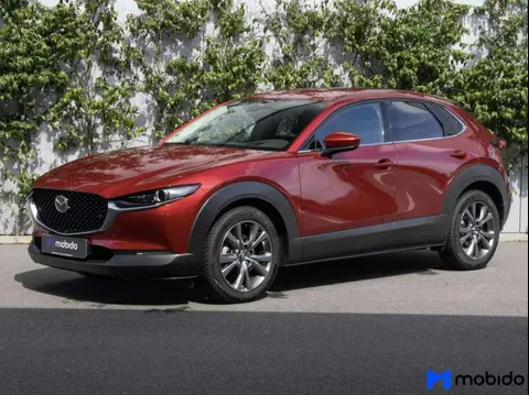 Used MAZDA CX-30 Petrol 2019 Ad 